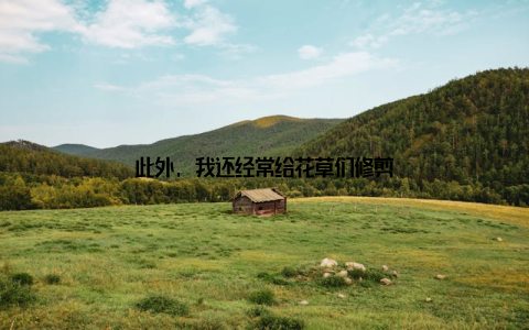 此外, 我还经常给花草们修剪