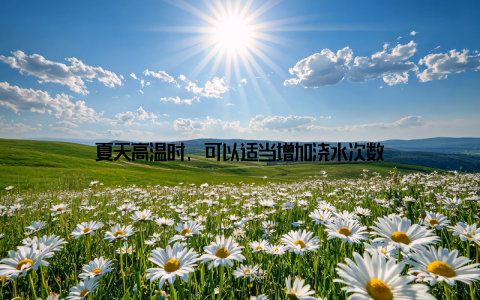 夏天高温时, 可以适当增加浇水次数