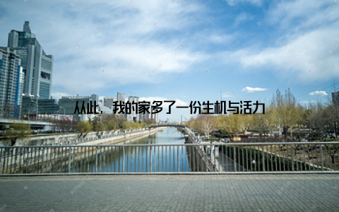 从此, 我的家多了一份生机与活力