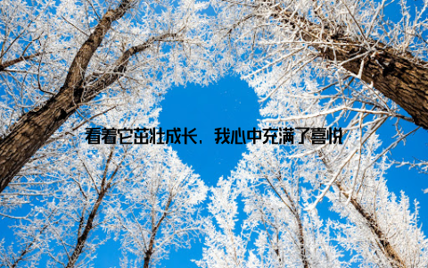 看着它茁壮成长, 我心中充满了喜悦