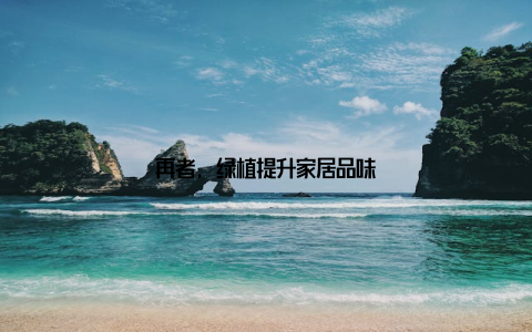 再者, 绿植提升家居品味