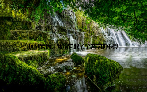 回到家后, 我给它取了个名字叫小梨