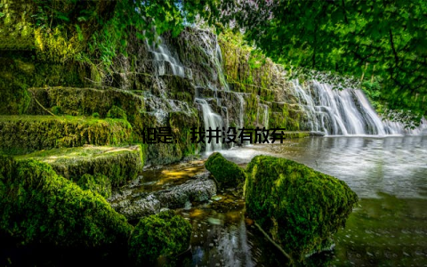 但是, 我并没有放弃