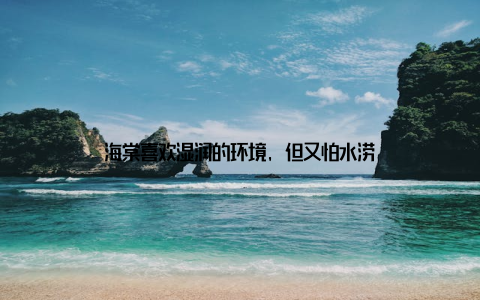 海棠喜欢湿润的环境, 但又怕水涝