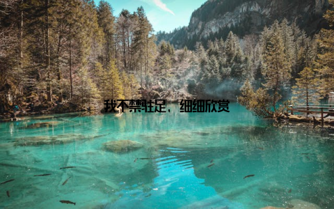 我不禁驻足, 细细欣赏