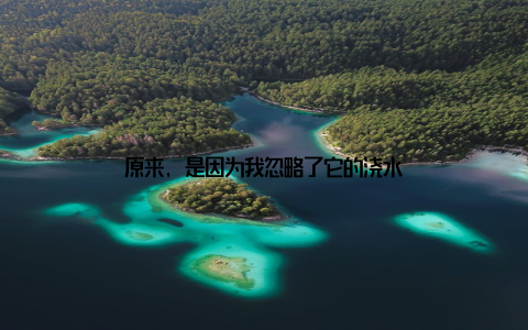 原来, 是因为我忽略了它的浇水