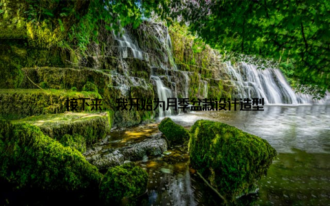 接下来, 我开始为月季盆栽设计造型