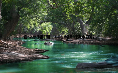 夏季高温时期, 可适当增加浇水次数