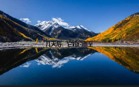 几天后, 它如约而至