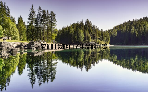 它们让我明白了生命的可贵