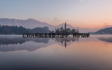 它对光照和温度要求适中, 养护简单