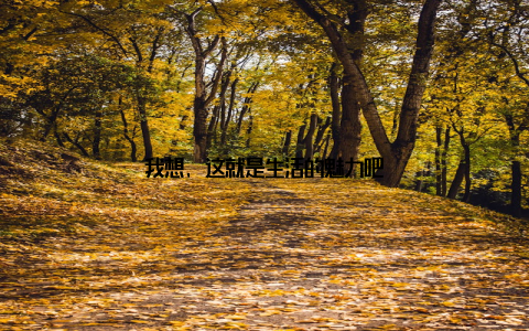 我想, 这就是生活的魅力吧