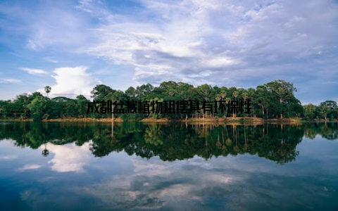 成都盆栽植物租摆具有环保性