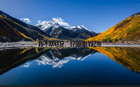 我不禁驻足, 仔细端详起来