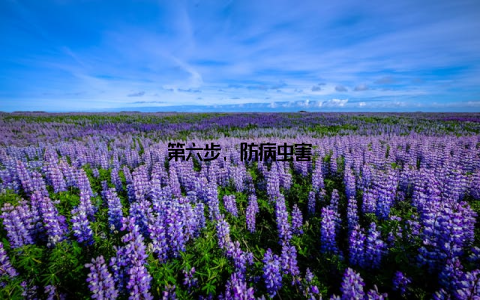 第六步, 防病虫害