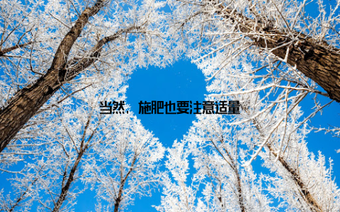 当然, 施肥也要注意适量