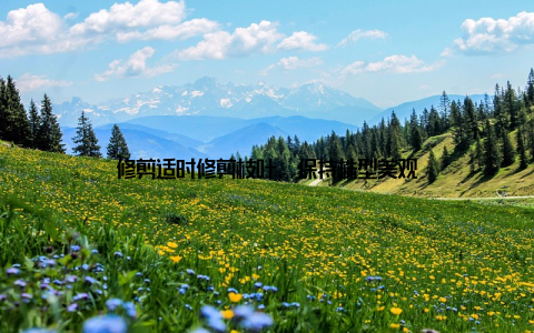 修剪适时修剪枝叶, 保持株型美观