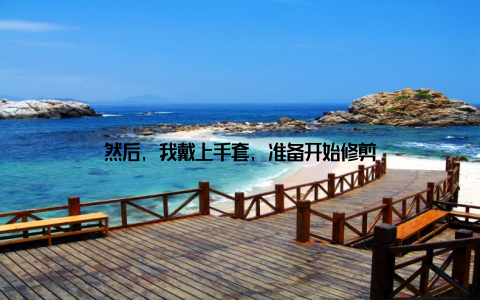 然后, 我戴上手套, 准备开始修剪