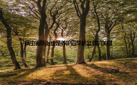 病虫害防治也是养护四季桔盆栽的关键