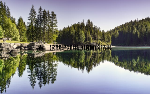 看, 这就是我用心培育的结果