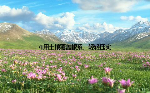 4用土壤覆盖根系, 轻轻压实