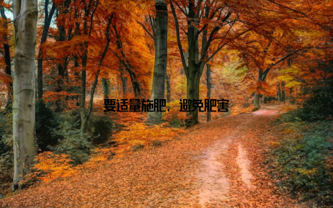 要适量施肥, 避免肥害