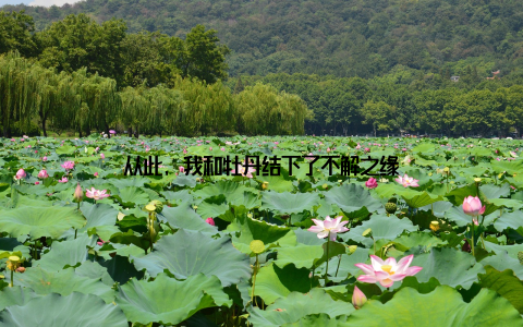 从此, 我和牡丹结下了不解之缘