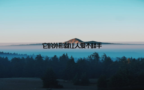 它的外形就让人爱不释手