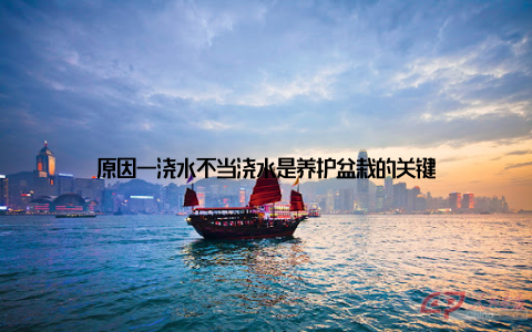 原因一浇水不当浇水是养护盆栽的关键