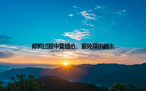 修剪过程中要细心, 避免损伤树木