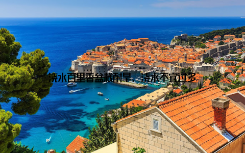 浇水百里香盆栽耐旱, 浇水不宜过多