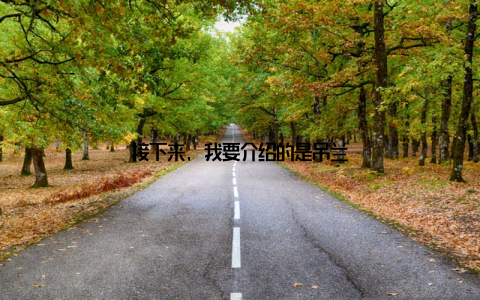 接下来, 我要介绍的是吊兰