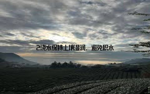 2浇水保持土壤湿润, 避免积水