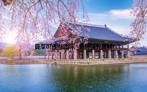 夏季可适当遮阴, 避免强光直射