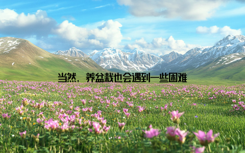 当然, 养盆栽也会遇到一些困难