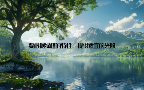 要根据绿植的特性, 提供适宜的光照