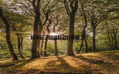 我学会了给盆栽做好保暖工作