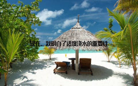 现在, 我明白了适度浇水的重要性