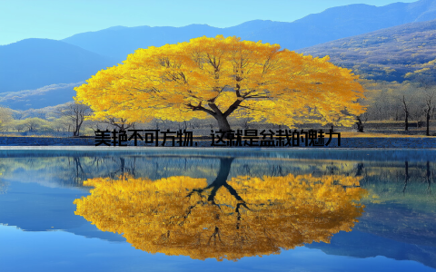 美艳不可方物, 这就是盆栽的魅力