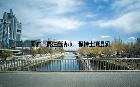 同时, 要注意浇水, 保持土壤湿润