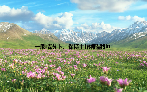 一般情况下, 保持土壤微湿即可