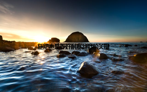 施肥也是养好耐寒盆栽的关键