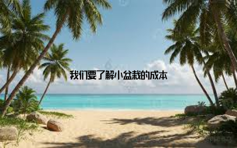 我们要了解小盆栽的成本