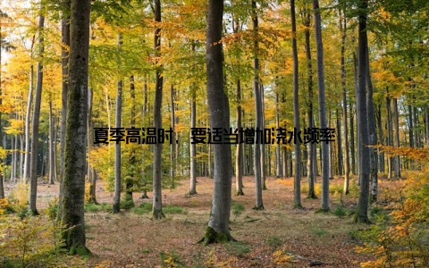 夏季高温时, 要适当增加浇水频率