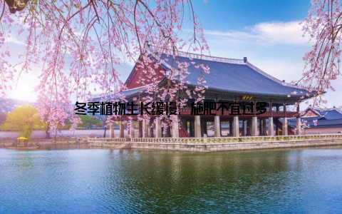 冬季植物生长缓慢, 施肥不宜过多