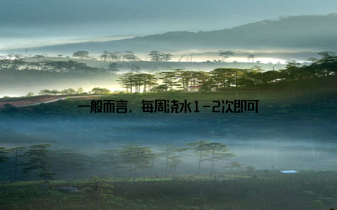 一般而言, 每周浇水1-2次即可