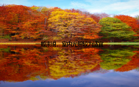 一般来说, 室内光照较为适宜