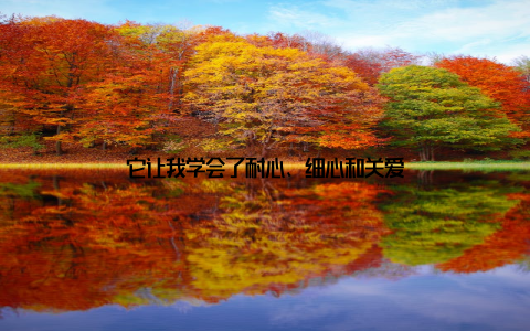 它让我学会了耐心、细心和关爱