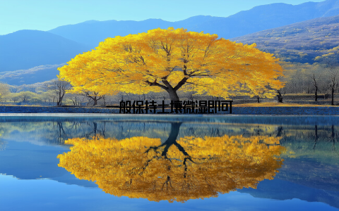 一般保持土壤微湿即可