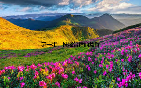 第一步, 选择合适的盆栽